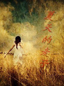 夏天的麦子