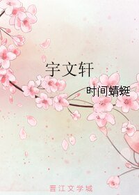 《宇文轩》