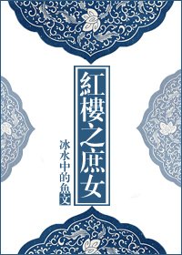 红楼之庶女