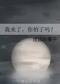《我来了,你怕了吗?》