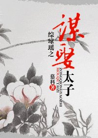 《(综琼瑶同人)综琼瑶之谋娶太子》