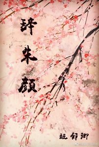 《辞朱颜》