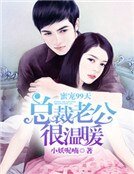 蜜宠99天,总裁老公很温暖