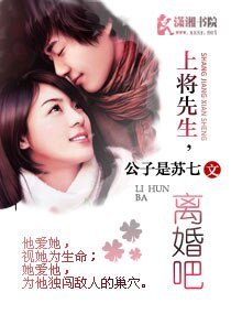 上將先生，離婚吧