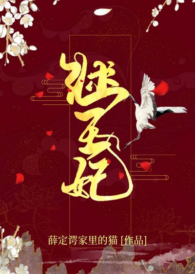 《继王妃》