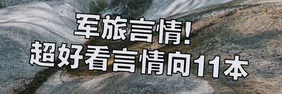 军旅言情！超好看言情向11本