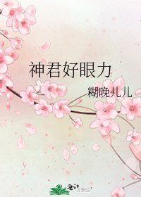 《神君好眼力》