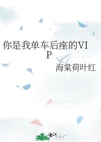 《你是我单车后座的VIP》
