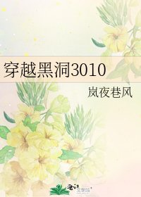 《穿越黑洞3010》