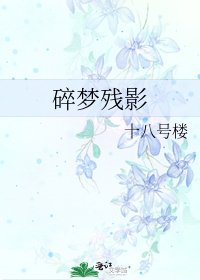《碎梦残影》