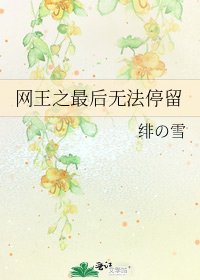 《网王之最后无法停留》