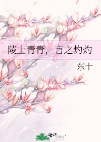 《陵上青青,言之灼灼》