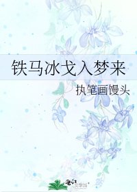 《铁马冰戈入梦来》