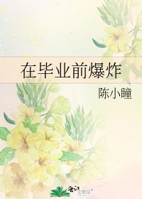《在毕业前爆炸》