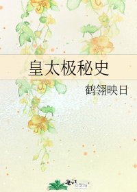 《皇太极秘史》