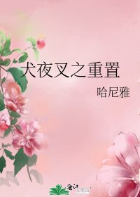 《(犬夜叉同人)犬夜叉之重置》