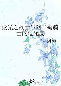 论光之战士与阿卡姆骑士的适配度
