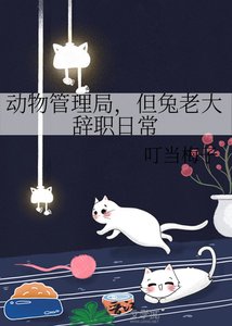 动物管理局,但兔老大辞职日常