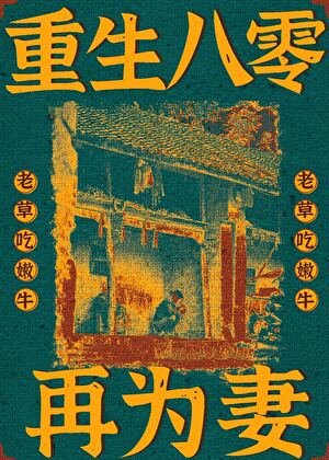 重生八零再为妻