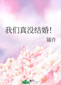 《我们真没结婚!》