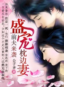前夫来袭,盛宠枕边妻